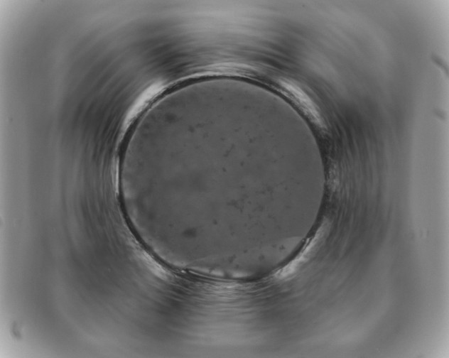 X0000091531180200708171214