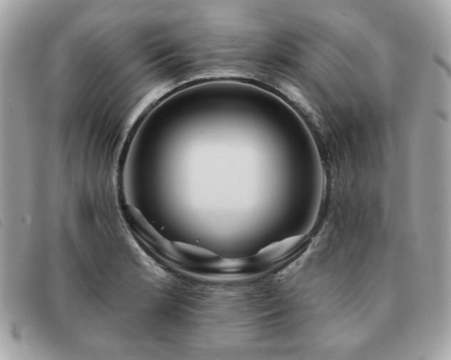 X0000091531181200708171214