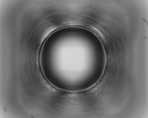 X0000091531182200708171214