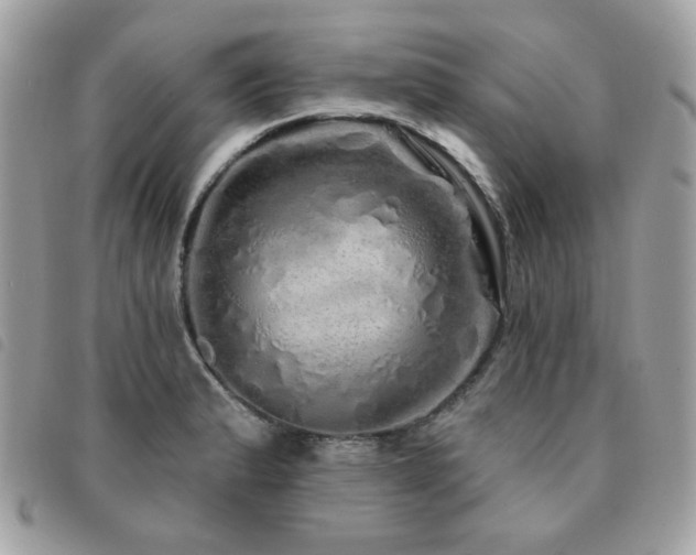 X0000091531183200708171214