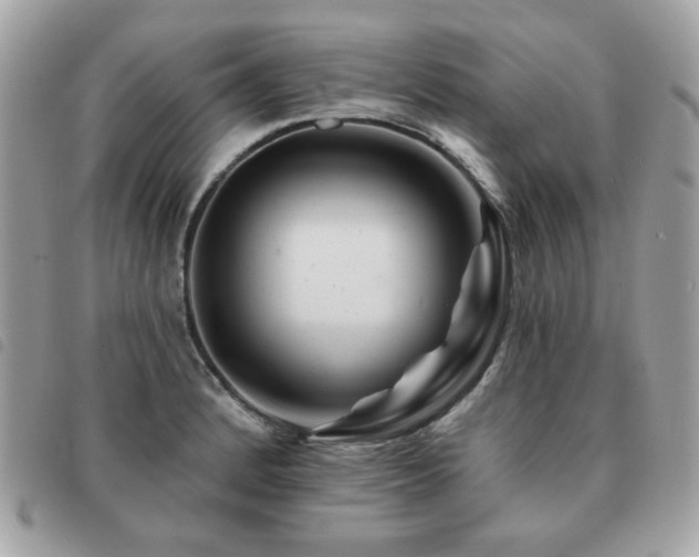X0000091531184200708171214