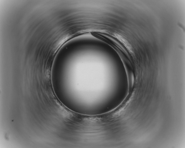 X0000091531185200708171214