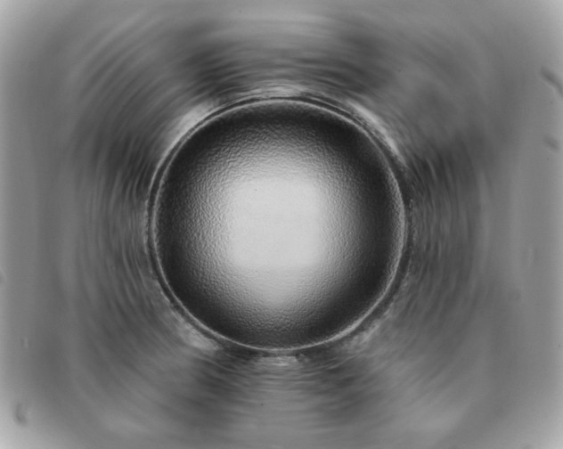 X0000091531186200708171214