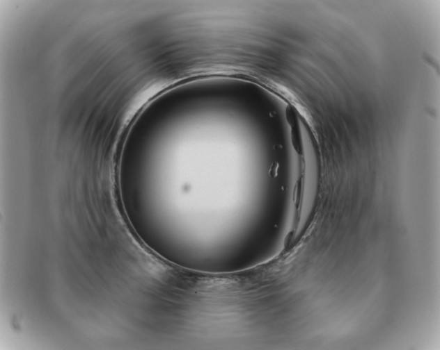 X0000091531187200708171214