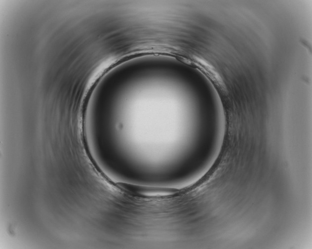 X0000091531188200708171214