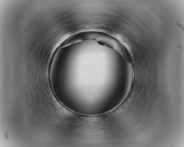 X0000091531189200708171214