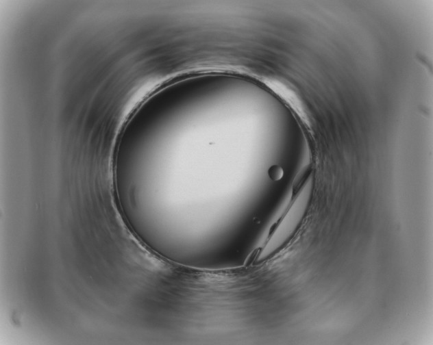 X0000091531191200708171214