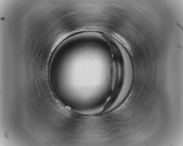 X0000091531192200708171214