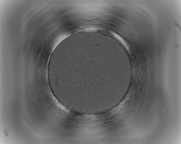 X0000091531194200708171214