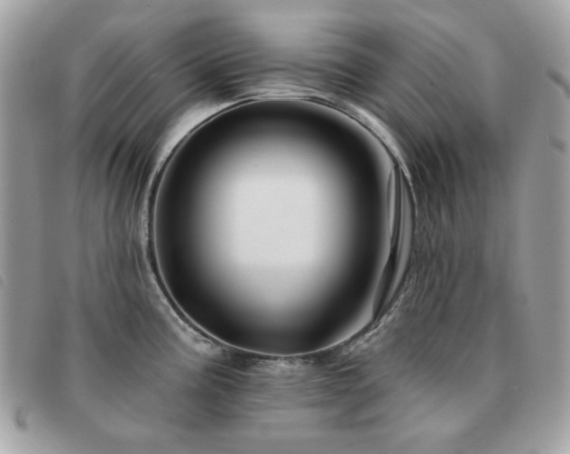 X0000091531195200708171213