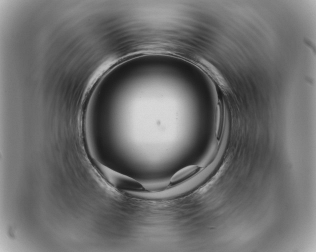 X0000091531196200708171213