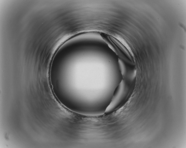 X0000091531197200708171213