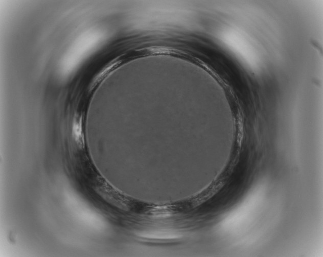 X0000091531198200708171213