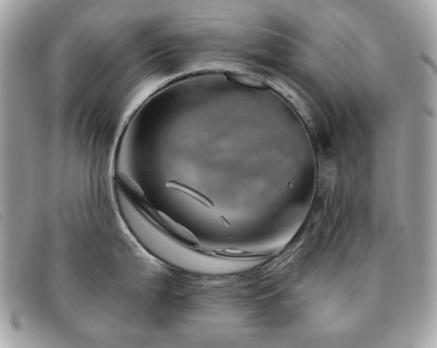 X0000091531199200708171213