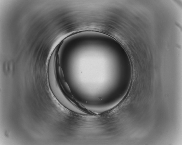 X0000091531200200708171213