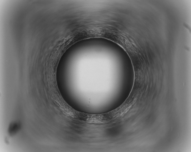X0000091531201200708171213