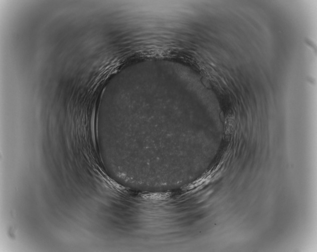 X0000091531202200708171213