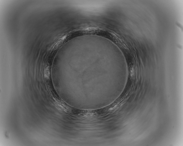X0000091531204200708171213