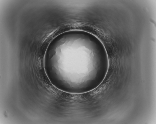 X0000091531205200708171213