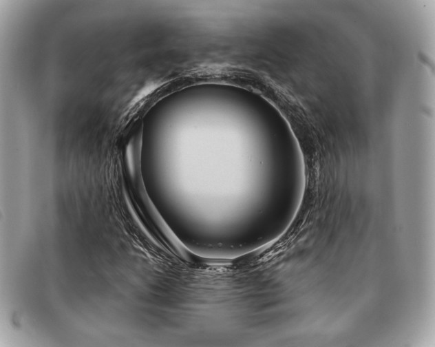 X0000091531206200708171213