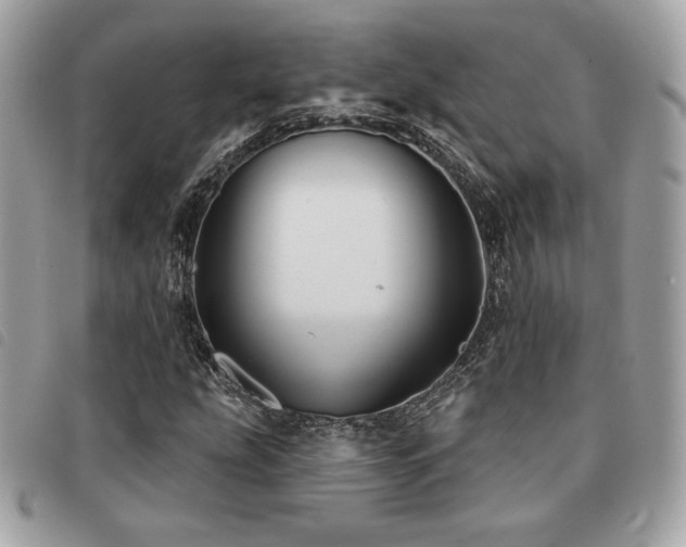 X0000091531207200708171213