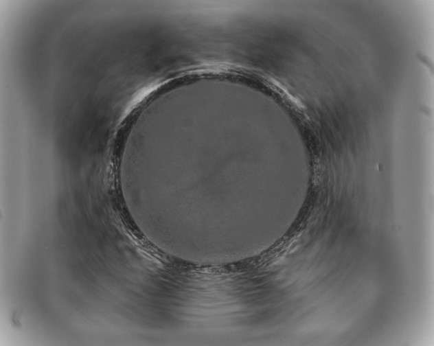 X0000091531208200708171213