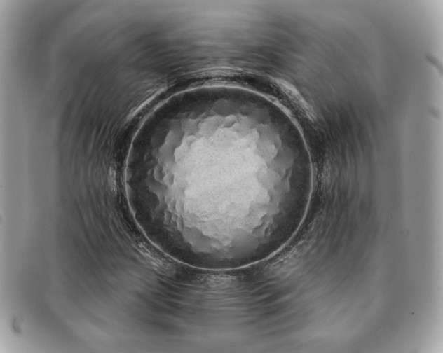 X0000091531209200708171213