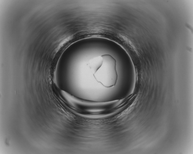 X0000091531210200708171213