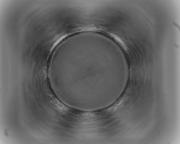 X0000091531212200708171213