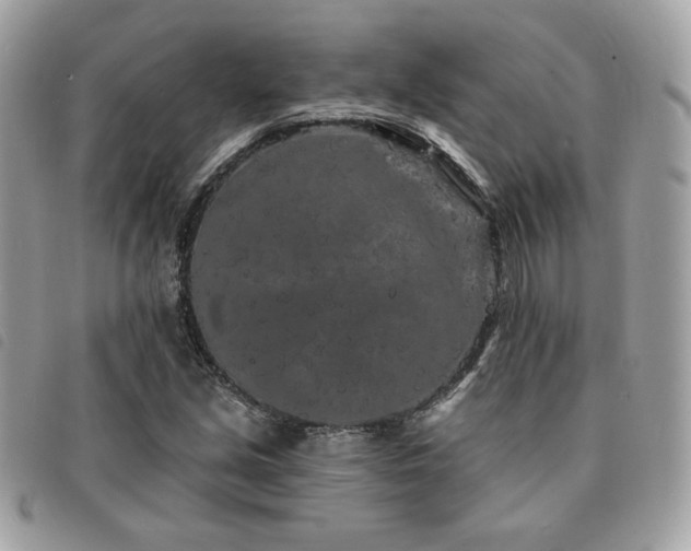X0000091531213200708171213