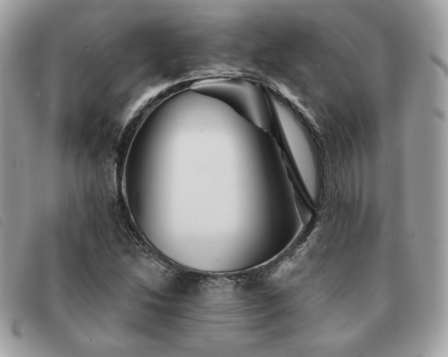 X0000091531214200708171213
