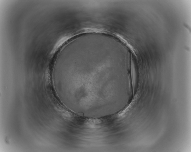 X0000091531215200708171213