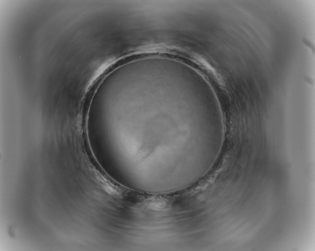 X0000091531216200708171213