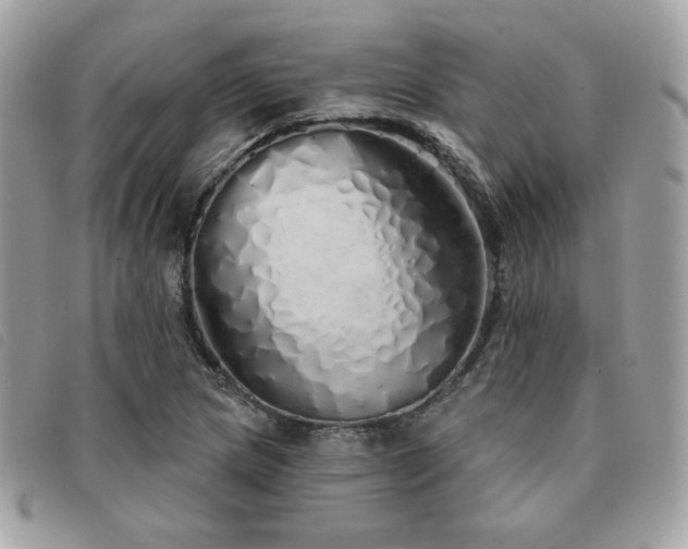 X0000091531217200708171213
