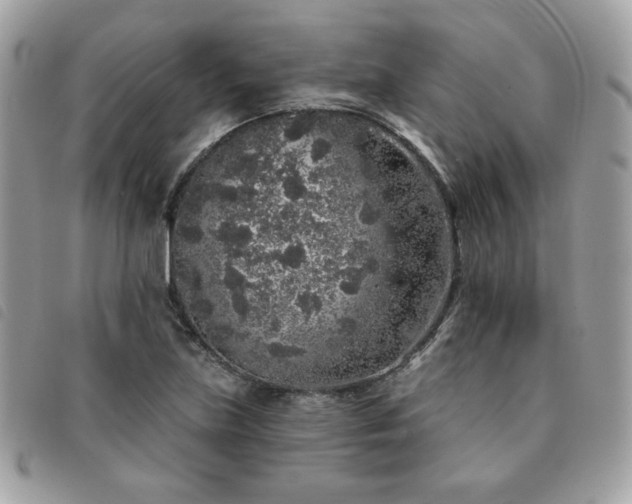 X0000091531219200708171213