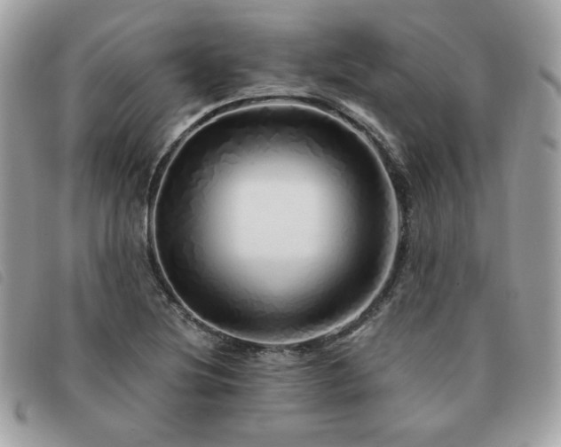 X0000091531220200708171213