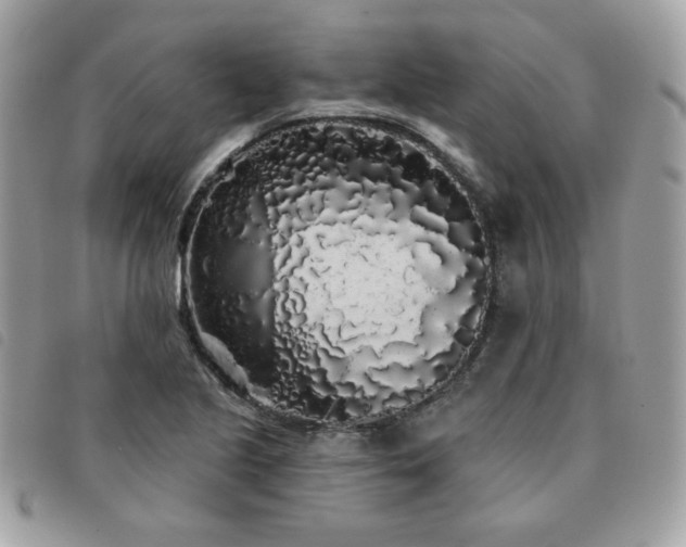 X0000091531221200708171213