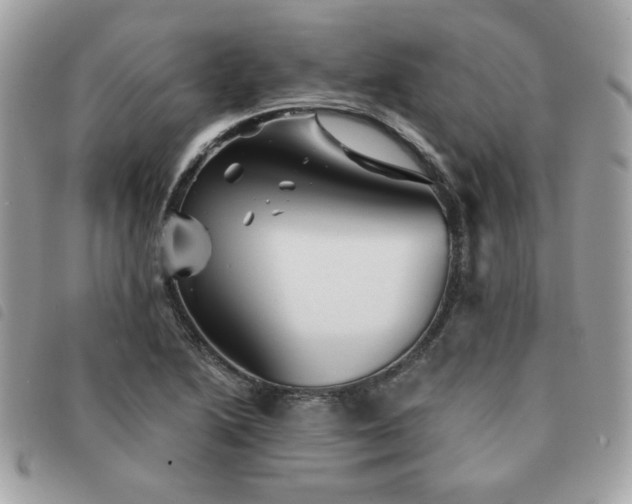 X0000091531222200708171213