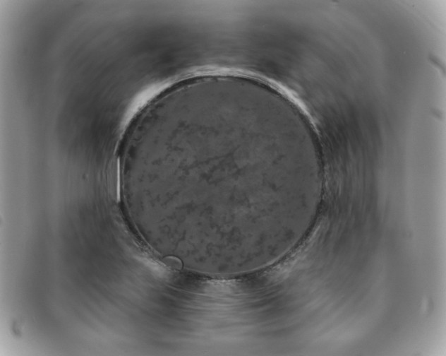 X0000091531223200708171213