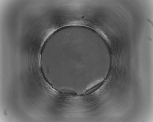 X0000091531224200708171213