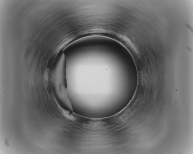 X0000091531225200708171213