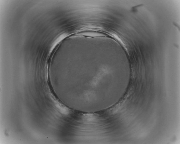 X0000091531227200708171213