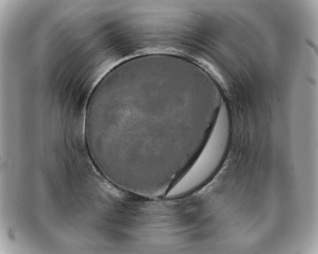 X0000091531228200708171213