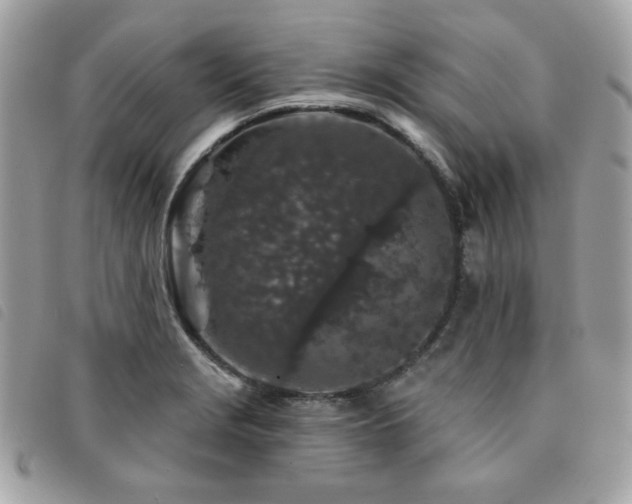 X0000091531229200708171213