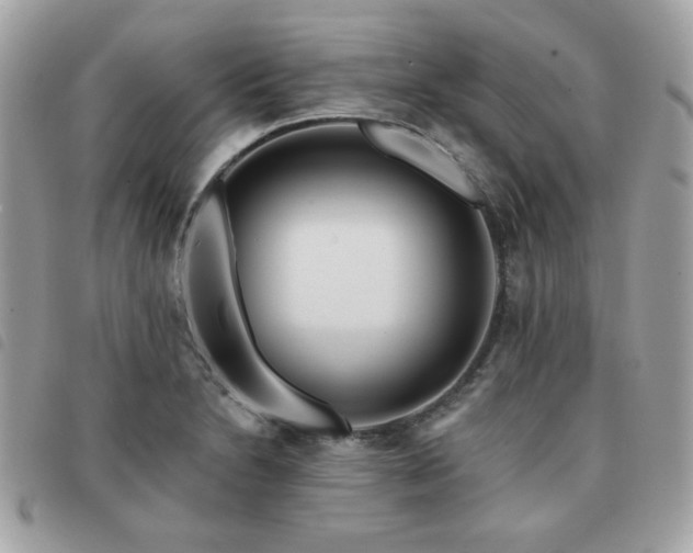 X0000091531230200708171213