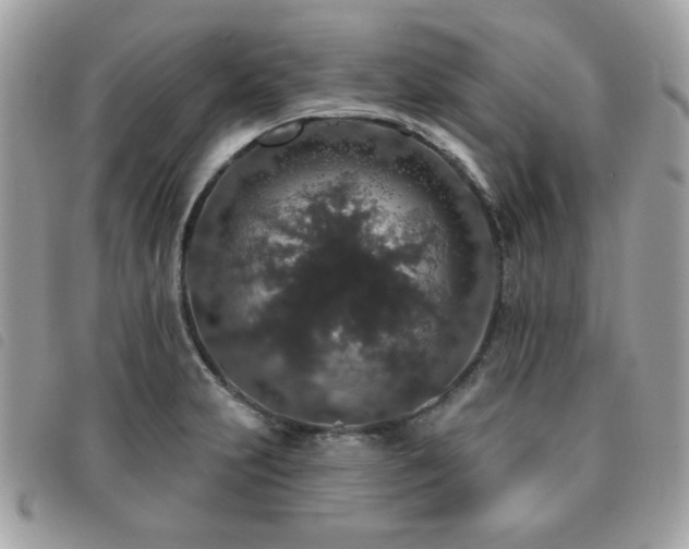 X0000091531231200708171213