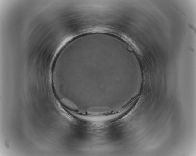 X0000091531232200708171213