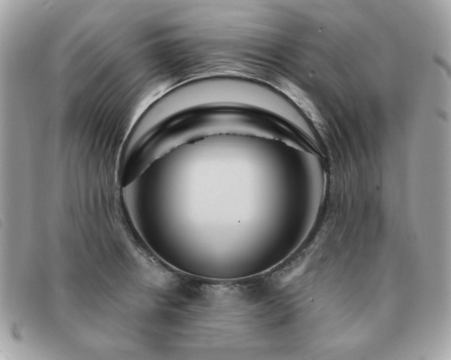 X0000091531234200708171213