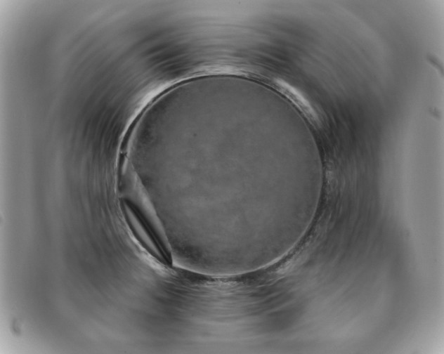 X0000091531236200708171213