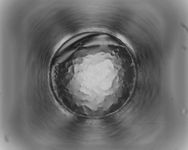 X0000091531237200708171213